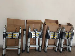 Dual Telescopic Ladder