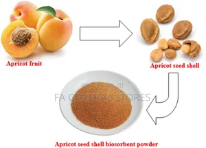 Apricot Seed Powder