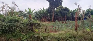 1.2 Acres in Lower Kabete for Sale Ideal for Residential Apartments
