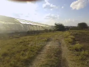 80 Acres Land Sabaki Mlolongo