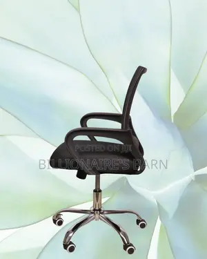 Orthopedic Secretarial Mesh Office Chair — Great for Study or Work