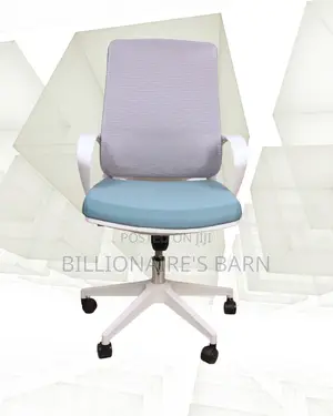 Imported White Ergonomic Mesh Office Chair | Lumbar Support