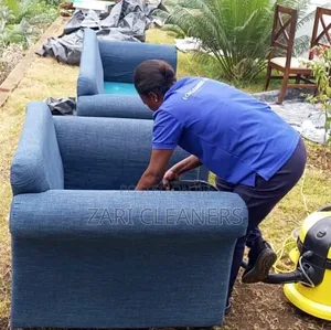 Quick and Reliable Sofa Cleaning Experts