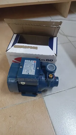 Pedrollo Pkm60 Peripheral Impeller Booster Water Pump
