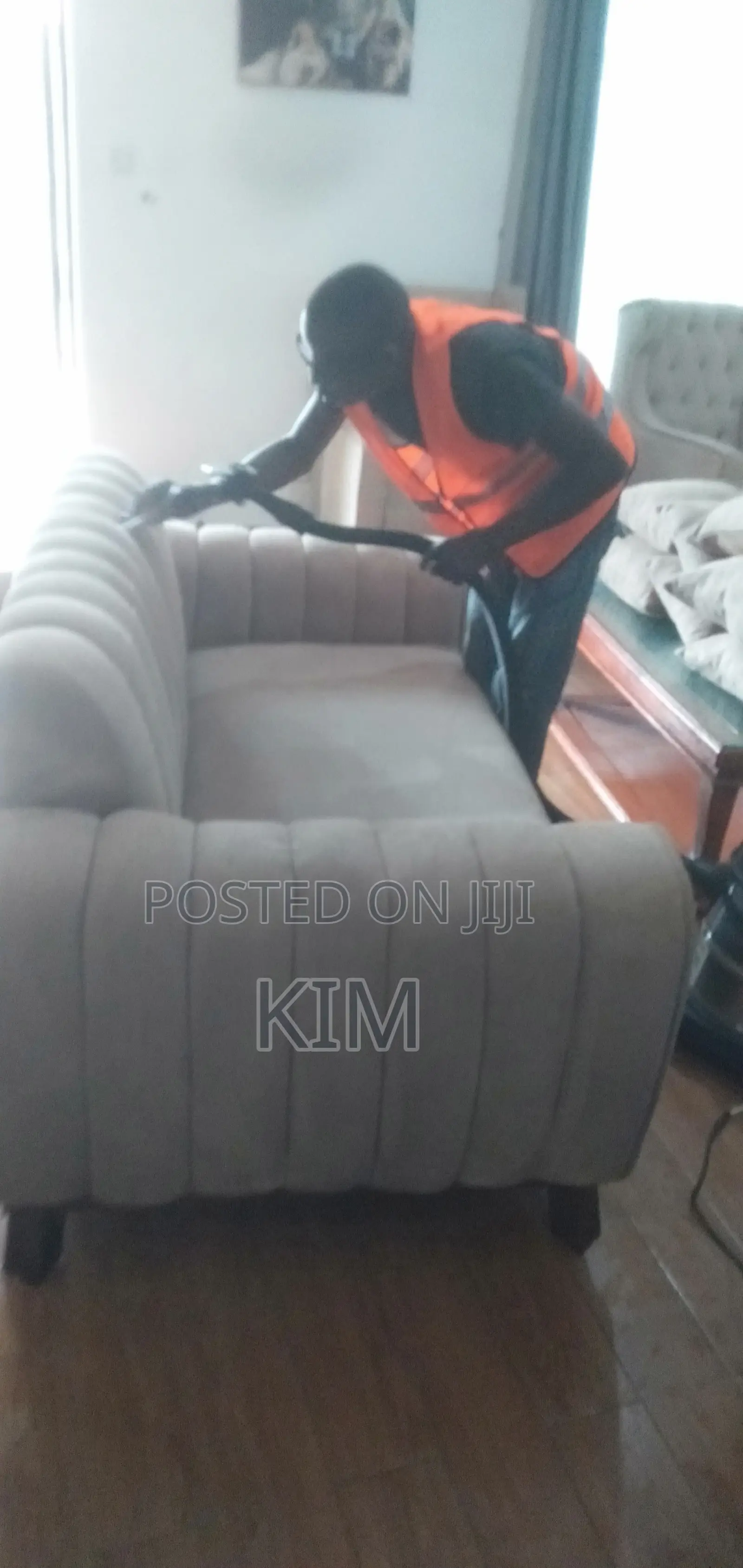 Professional Cleaning Services