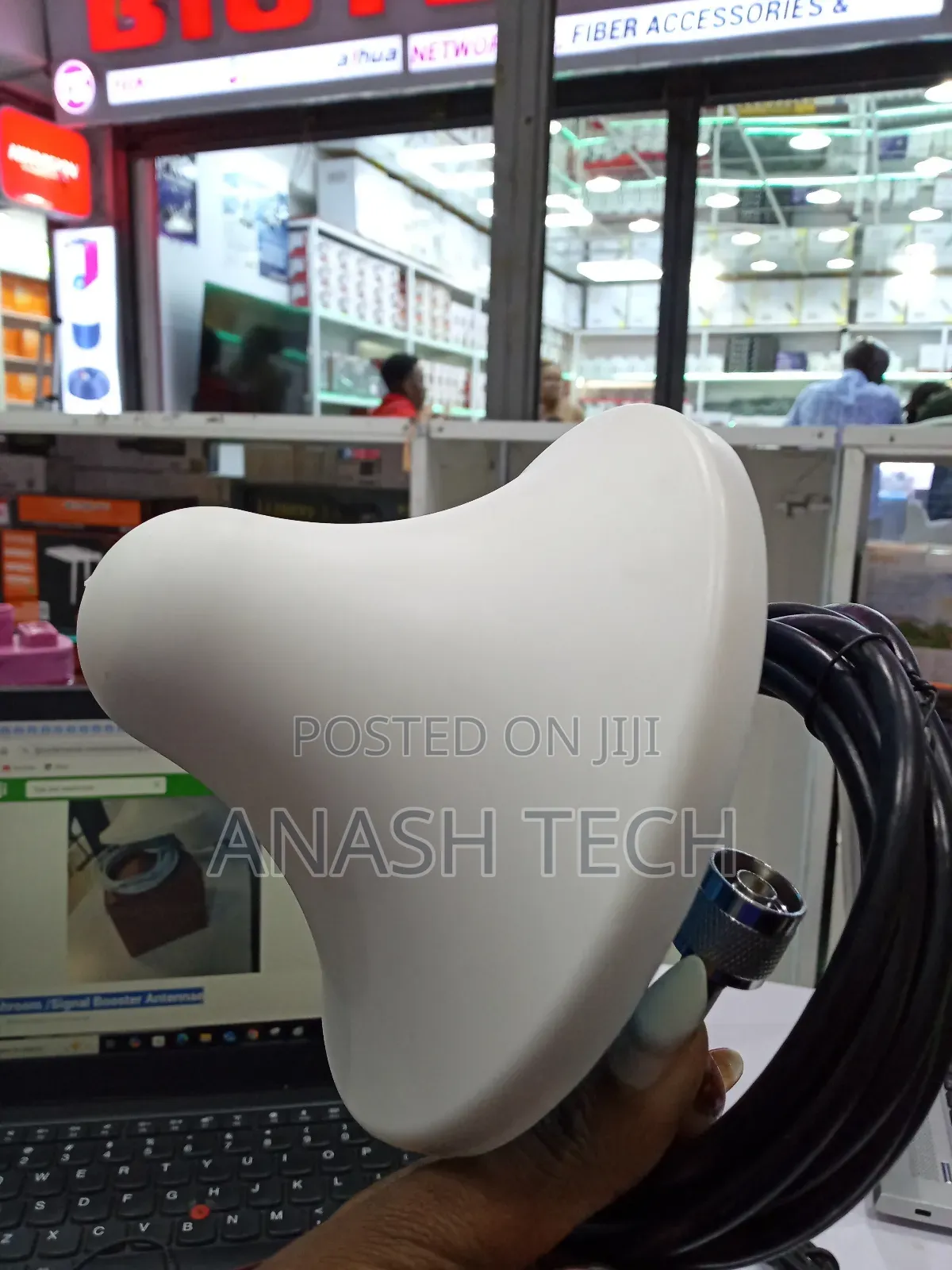 Mushroom /Signal Booster Antennae