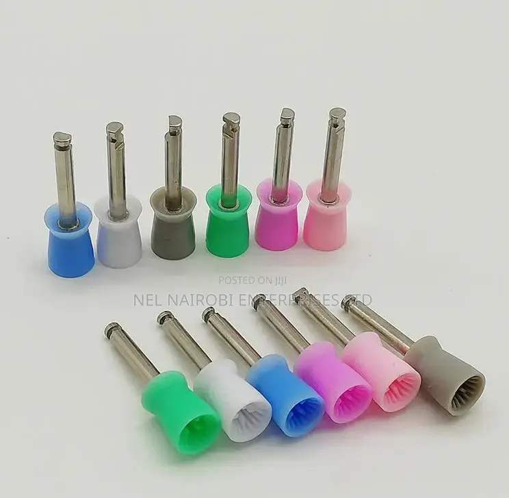 Dental Disposable Prophylaxis Cups