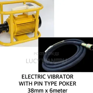 Electric Vibrator With Pin Pocker