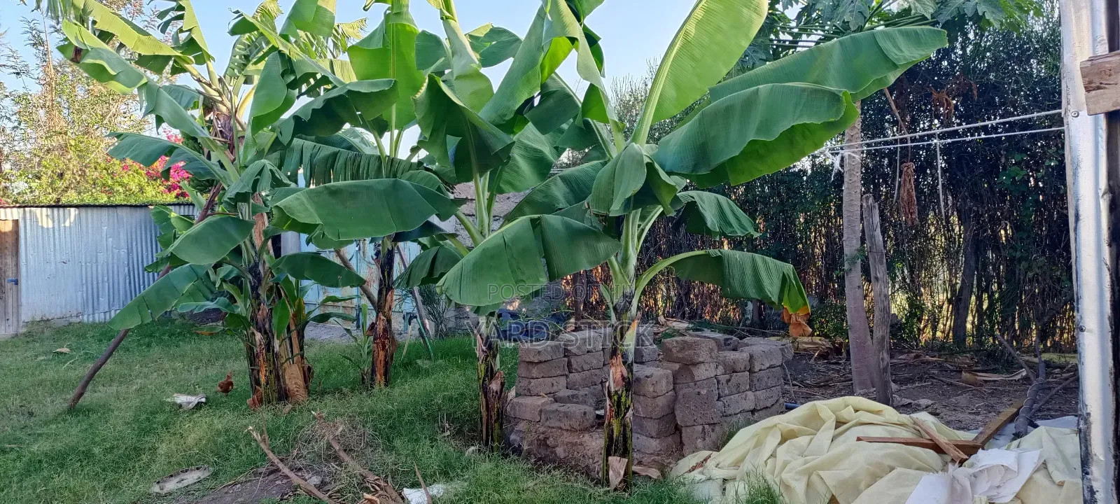 One Acre Plot With Three Bedroom Bungalow