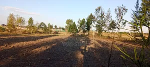 One Acre Plot With Three Bedroom Bungalow