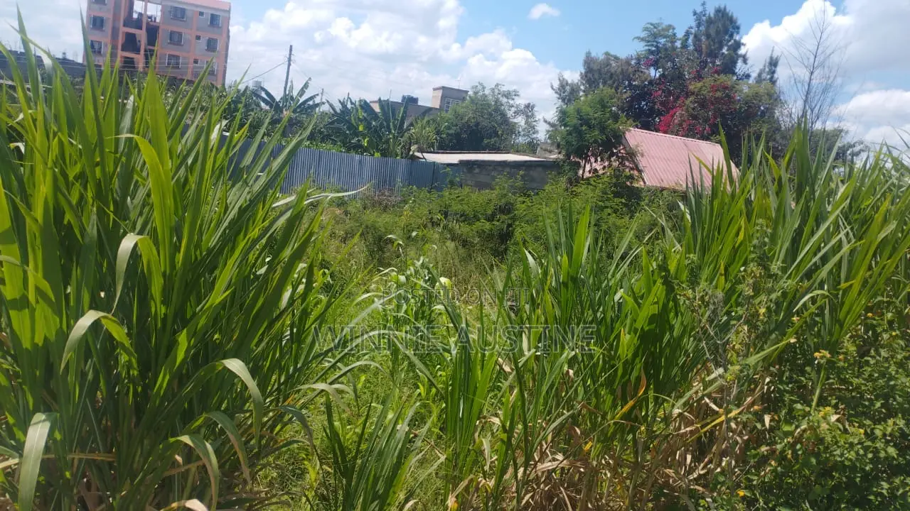 Mwihoko Plot for Sale