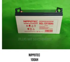 Good Quality Nippotec 100ah Battery