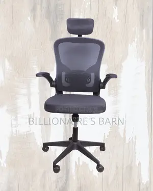 Grey Ergonomic Office Chair (Sleek) — Fast Seller