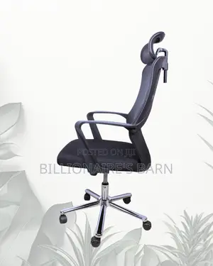High Back Mesh Office Chair | Plush Nylon Castors