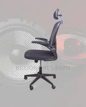 Adjustable Grey Ergonomic Office Chair | Lumbar Support