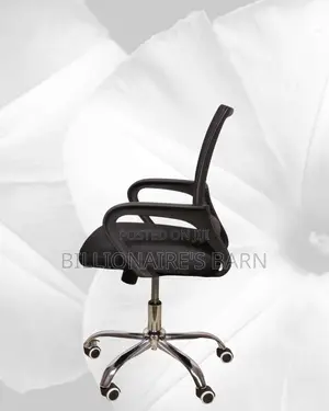 Secretarial Mesh Office Chair | Imported Mesh Backrest