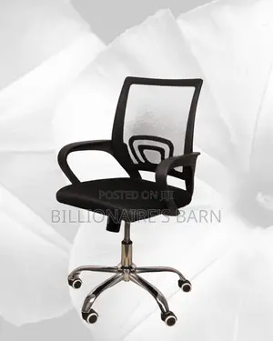 Secretarial Mesh Office Chair | Imported Mesh Backrest