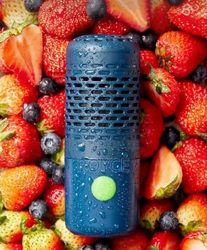 Portable Food Fruit Cleaner Purifier