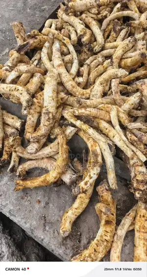 Aloe Vera Dry Roots for Medicinal Purposes Muratina Wine Brewery -10