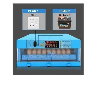 64-eggs Incubator Fully Automatic Use Both Solar And Electric (Ac/Dc)