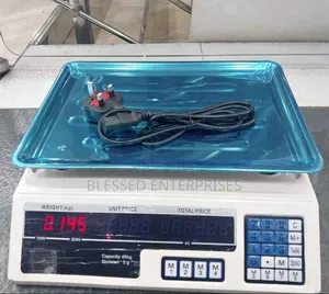 Digital Weighing Scale 30kgs / Acs 30 Scale