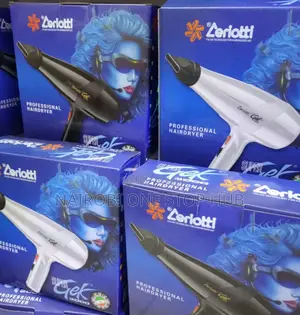 Zerriotti Professional Hair Dryer