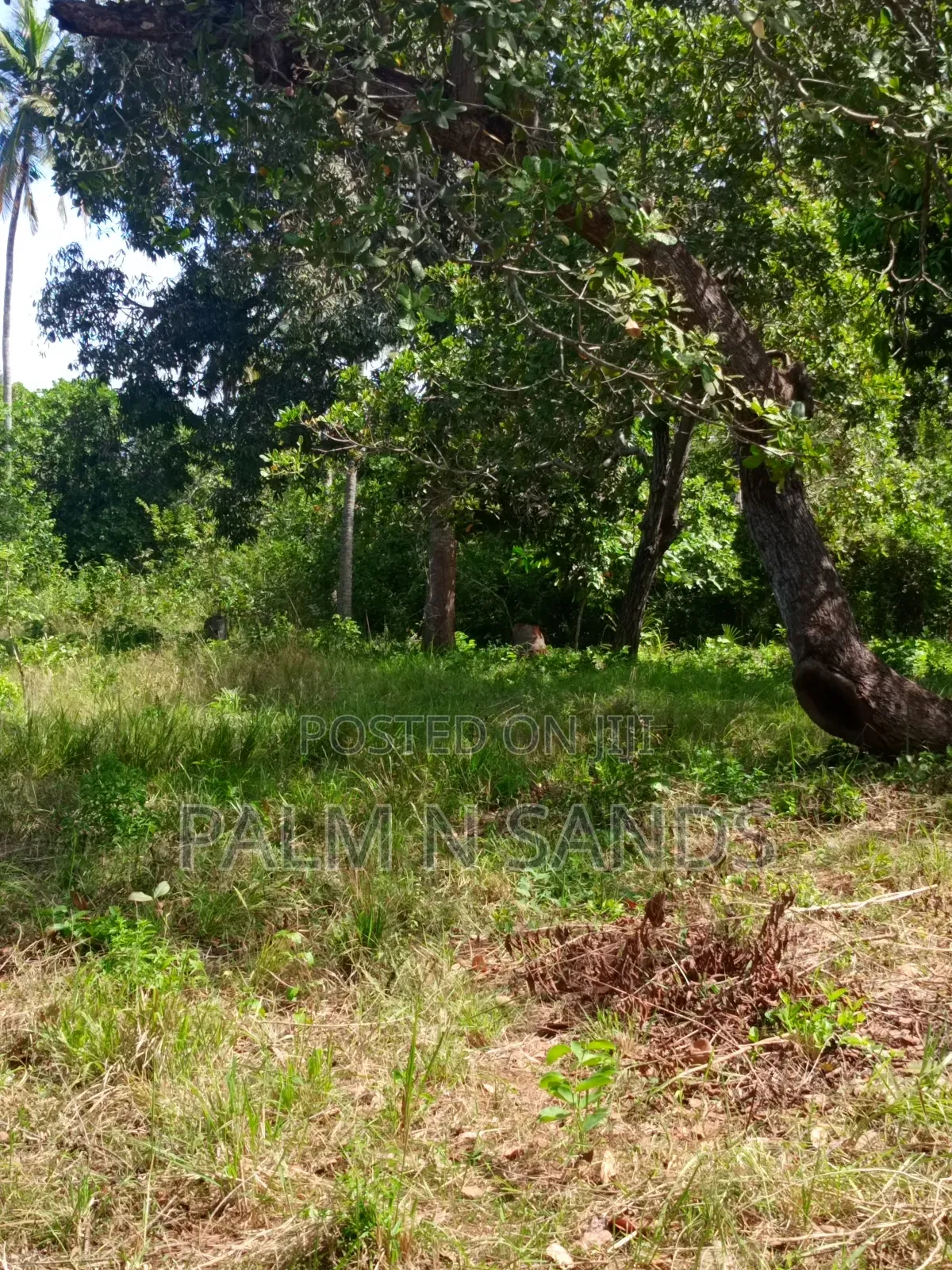 3/4 Acre on Sale in Galu Diani