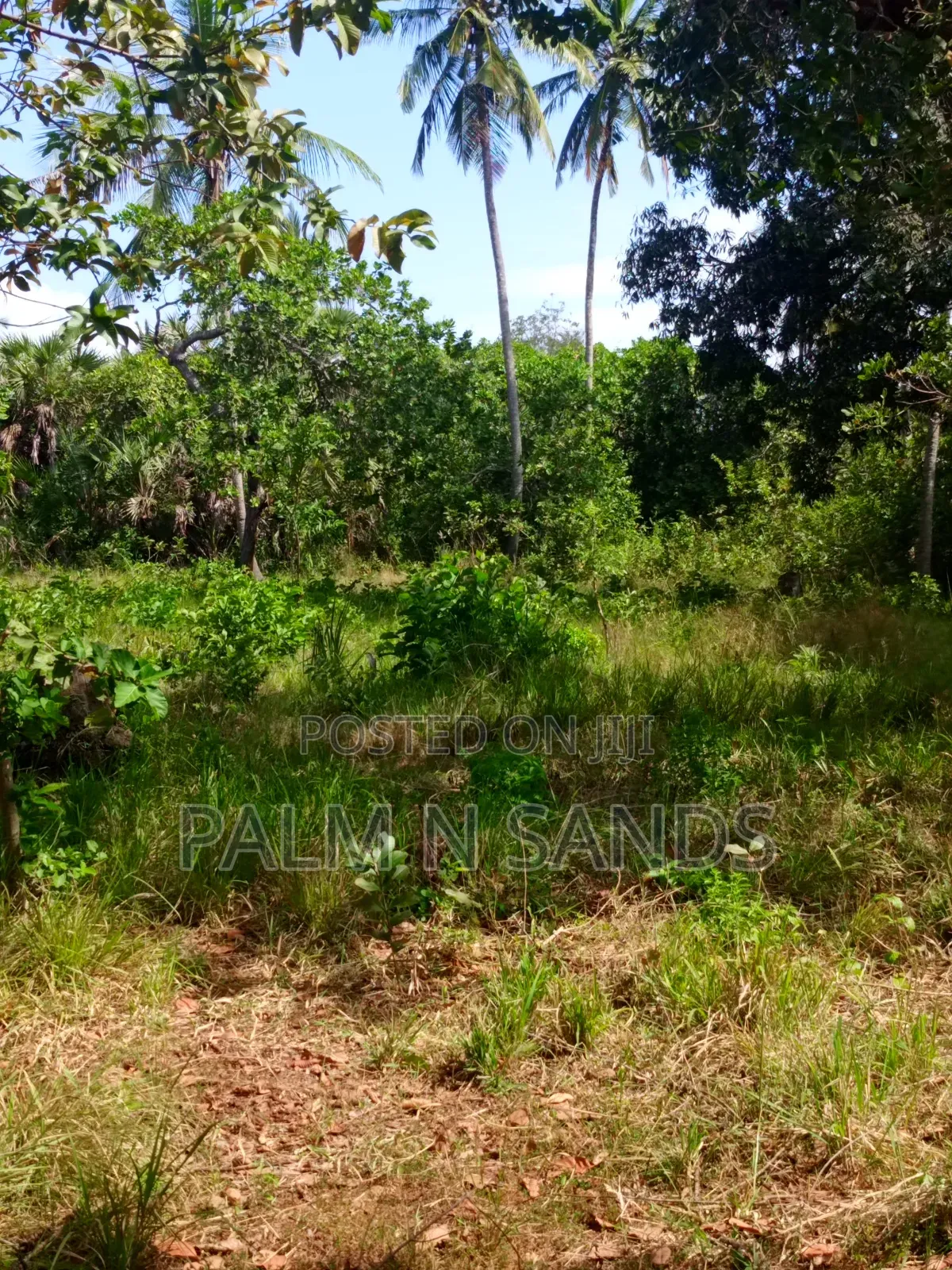 3/4 Acre on Sale in Galu Diani