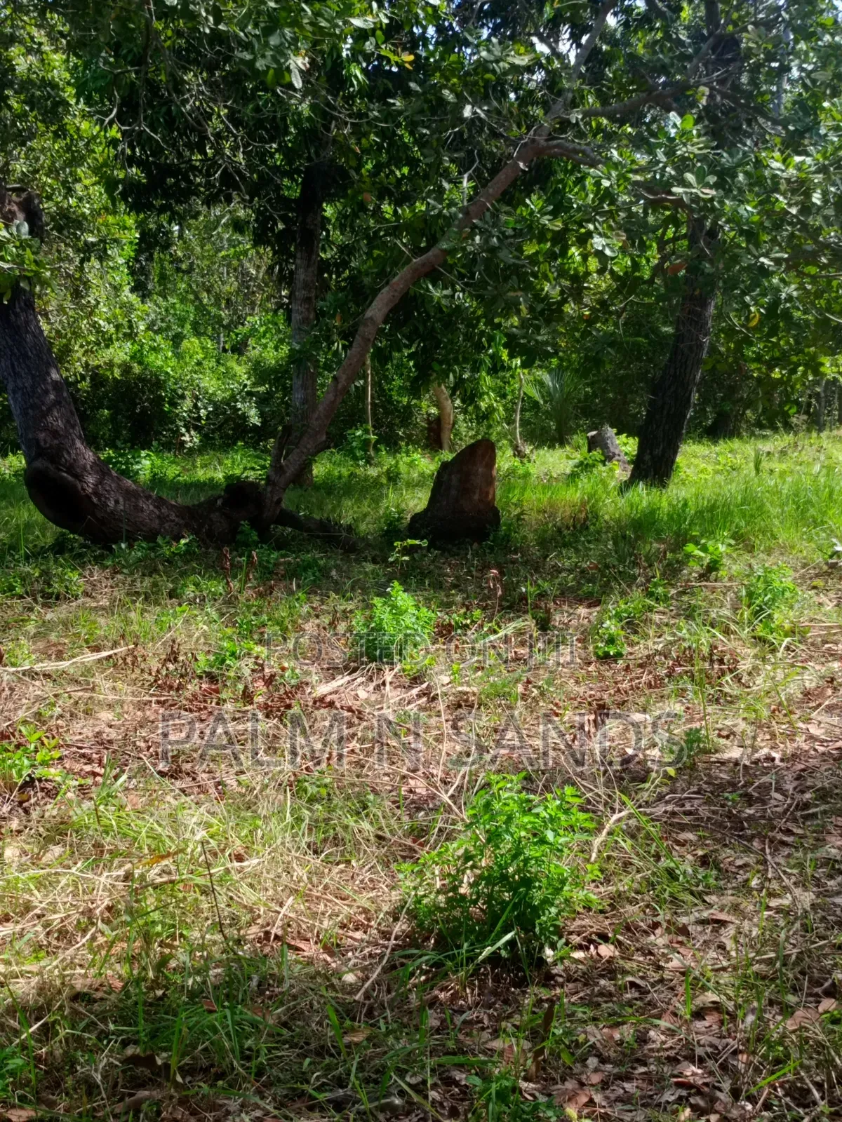 3/4 Acre on Sale in Galu Diani