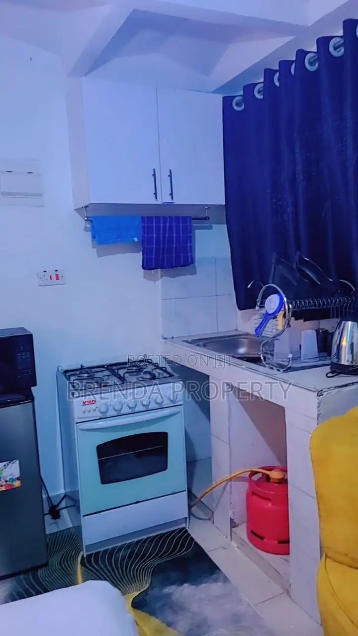 Cozy Affordable Airbnb Along TRM Drive, Roysambu