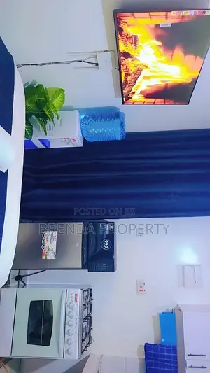 Cozy Affordable Airbnb Along TRM Drive, Roysambu