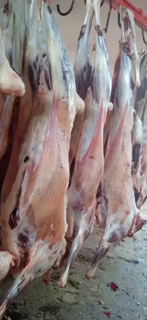 Fresh Goat Meat In Wholesale