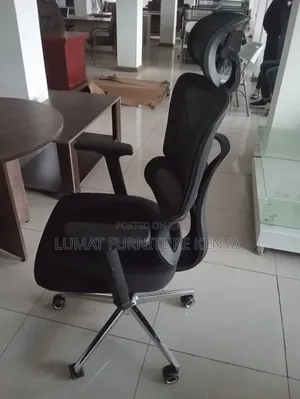 Reclining Executive Orthopedic Chair