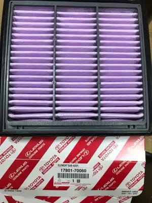 Air Clearner Landcruiser 300 Series