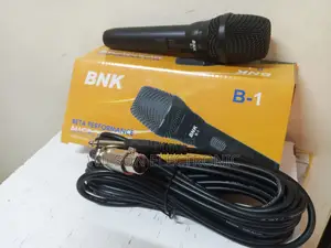 BNK B-1 Microphone