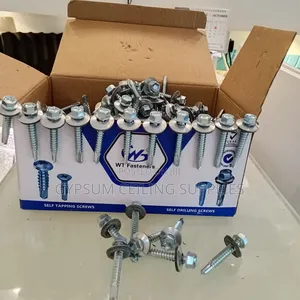 Self Drilling Screws 300 Pieces