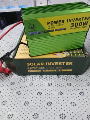 300w Continous Power 600w Peak Power Solar Inverter With Overload Prot