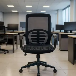 Ergonomic Desk Chair