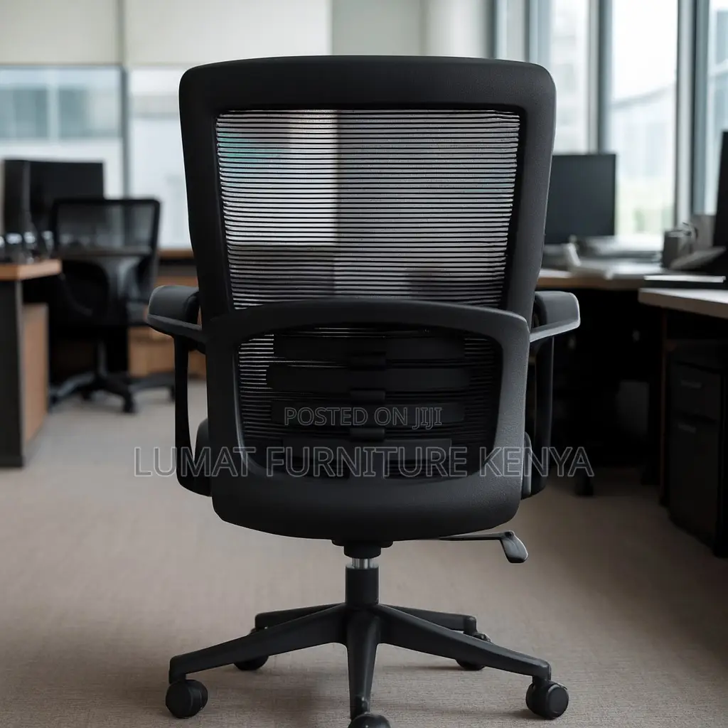Ergonomic Desk Chair