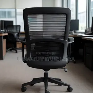 Ergonomic Desk Chair