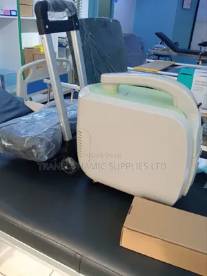 Portable O2 Concentrator