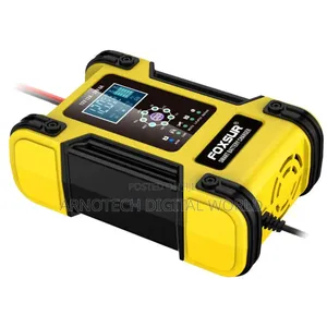Intelligent Universal 12v/24v Battery Charger