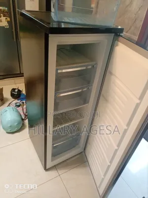 Standing Freezer Compressor Replacement Services