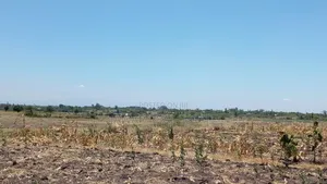 Residential Plot For Sale Thika Kilimambogo