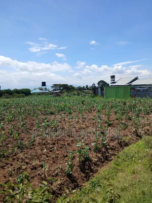 50x100 Plots in Naivasha Nyamathi 700metres From Highway