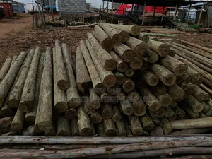 Cca Treated Fencing Posts