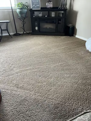 Durable Wall-to-Wall Carpet – Where Luxury Meets Durability