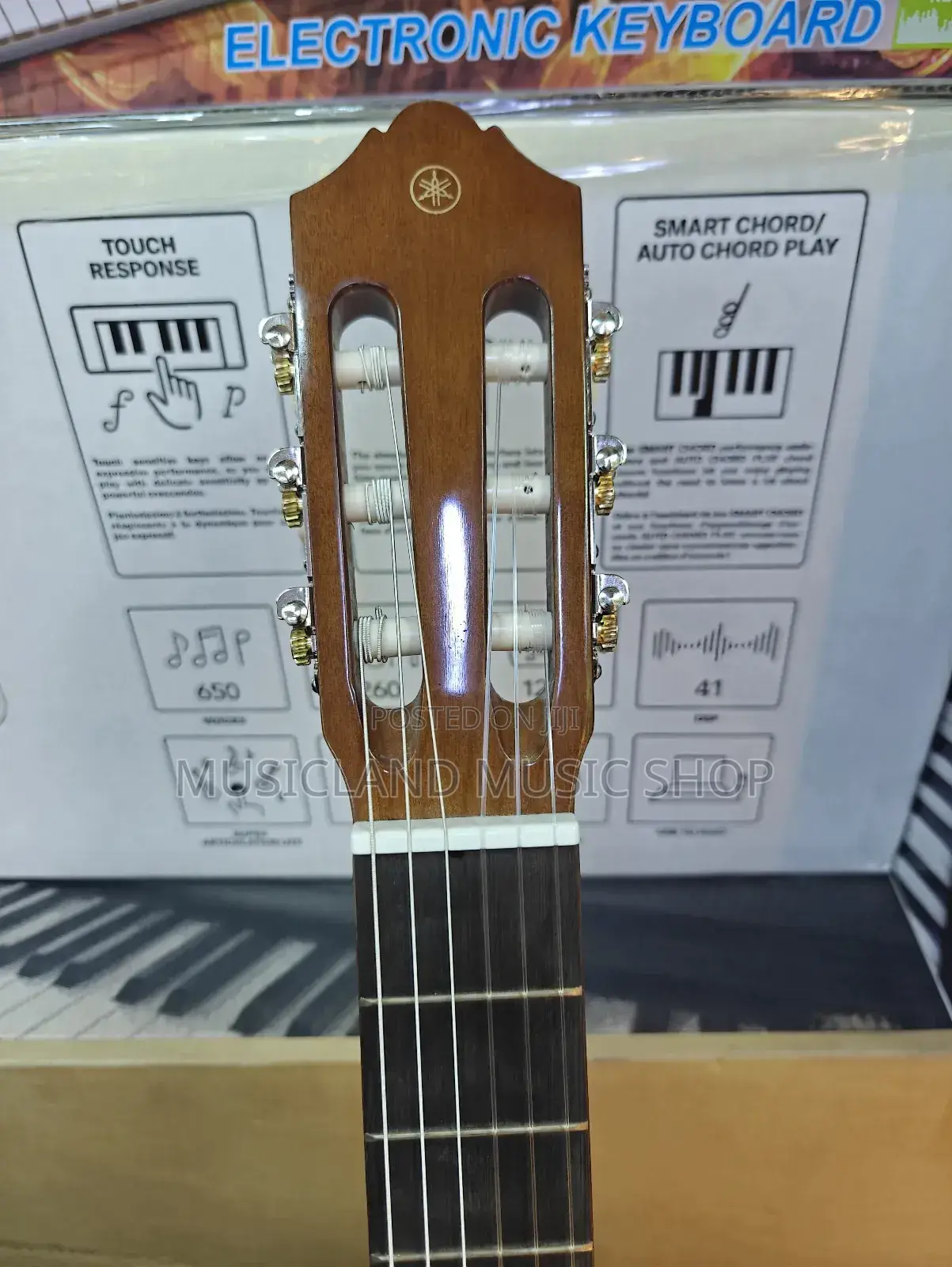 Yamaha Classic Guitar C40