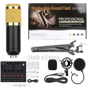 V8s Sound Card Condenser Microphone