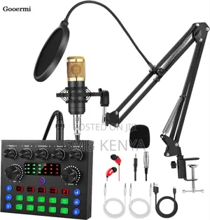 V8s Sound Card Condenser Microphone